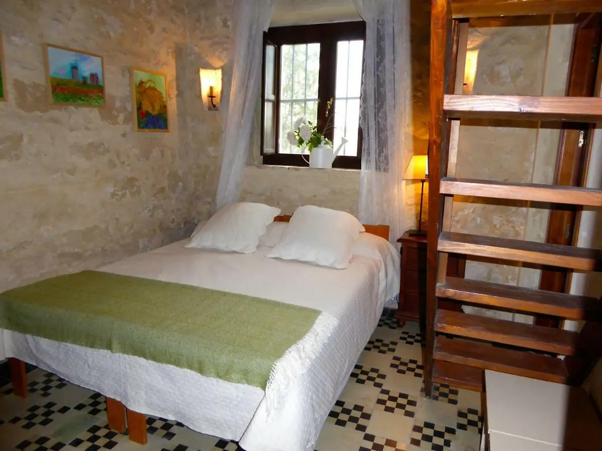 Jerez Vina Santa Petronila Guest House Jerez de la Frontera Country house