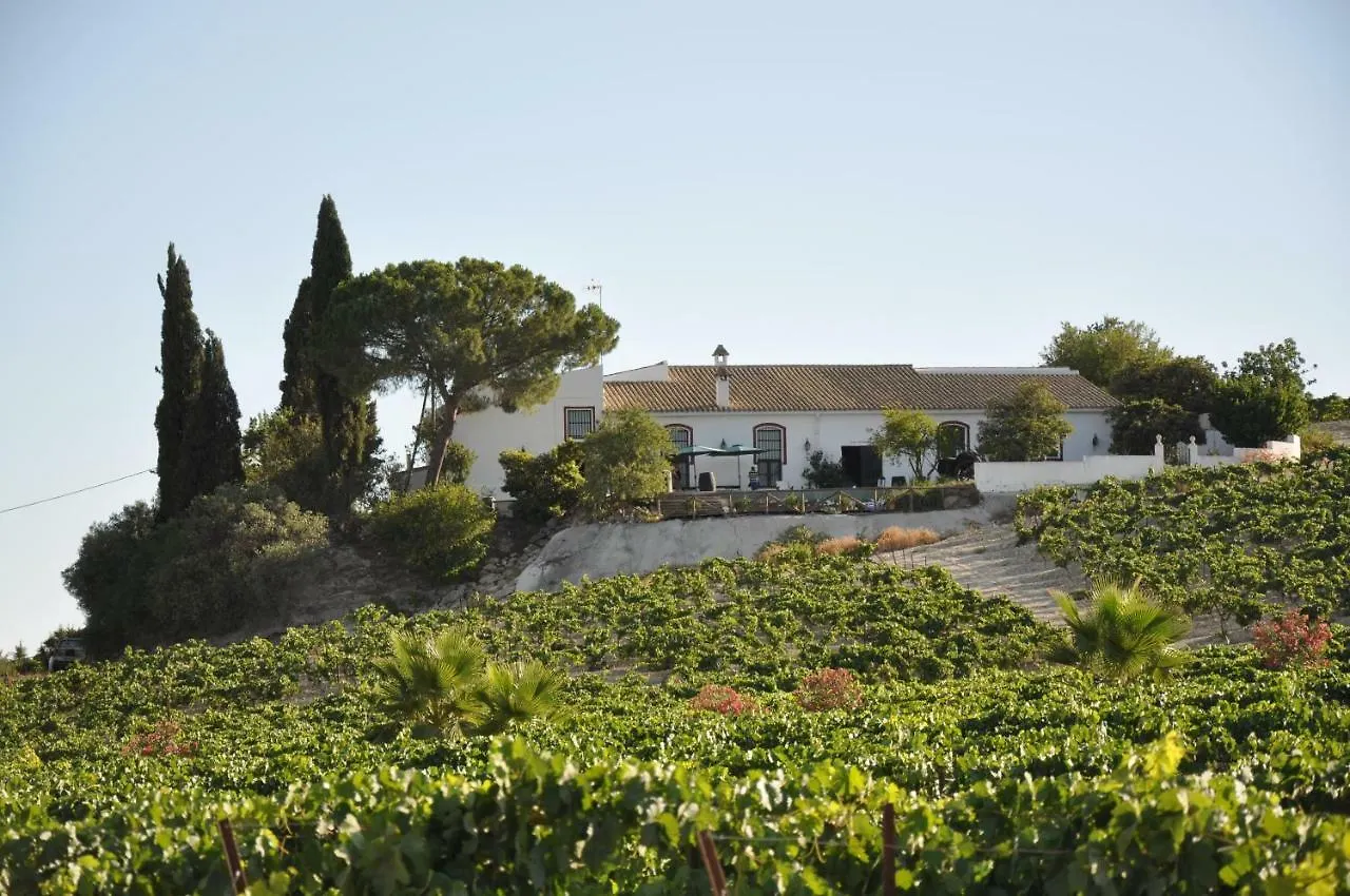 Jerez Vina Santa Petronila Guest House Jerez de la Frontera Spain