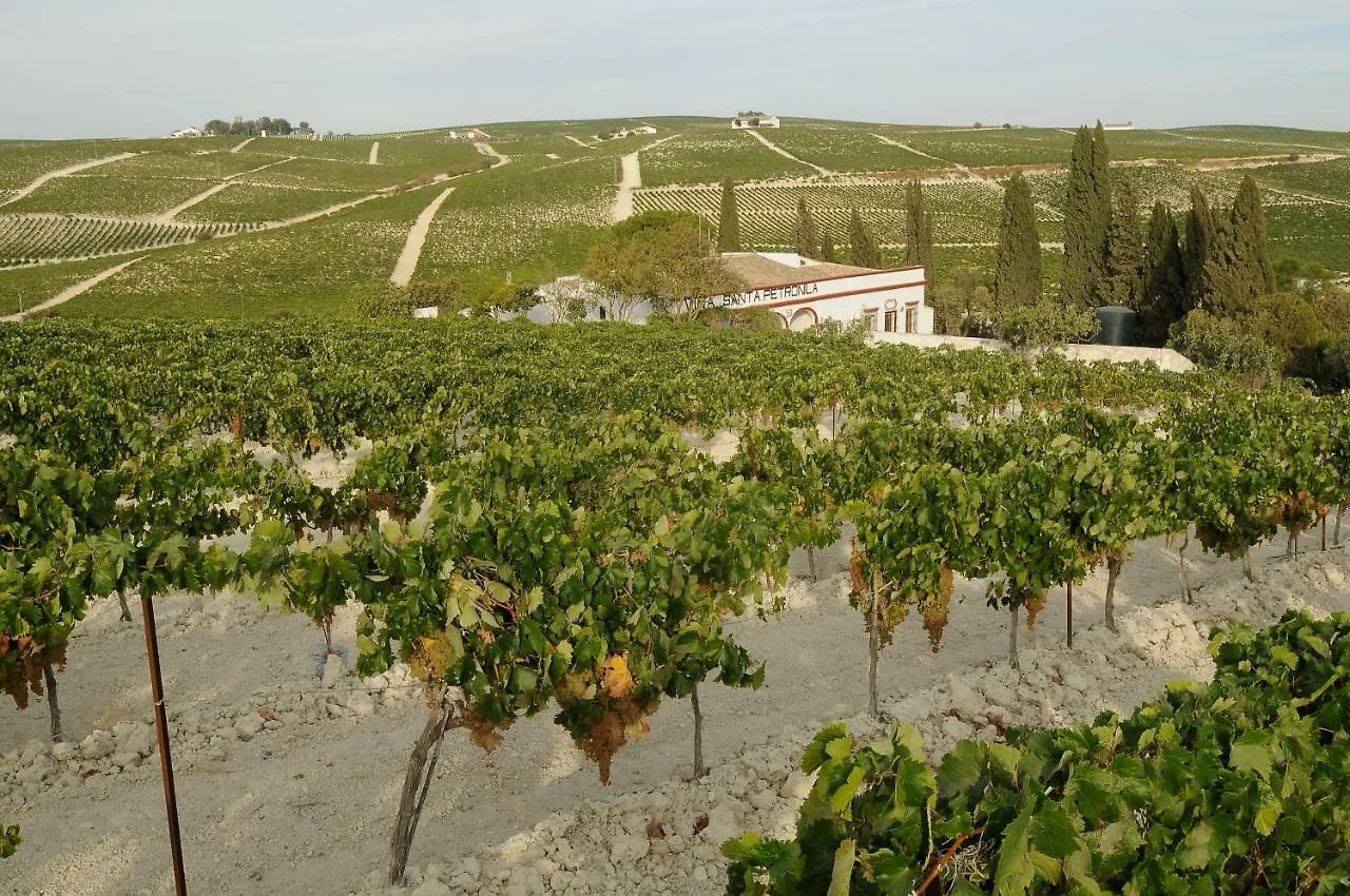 Penzion Jerez Vina Santa Petronila Jerez de la Frontera