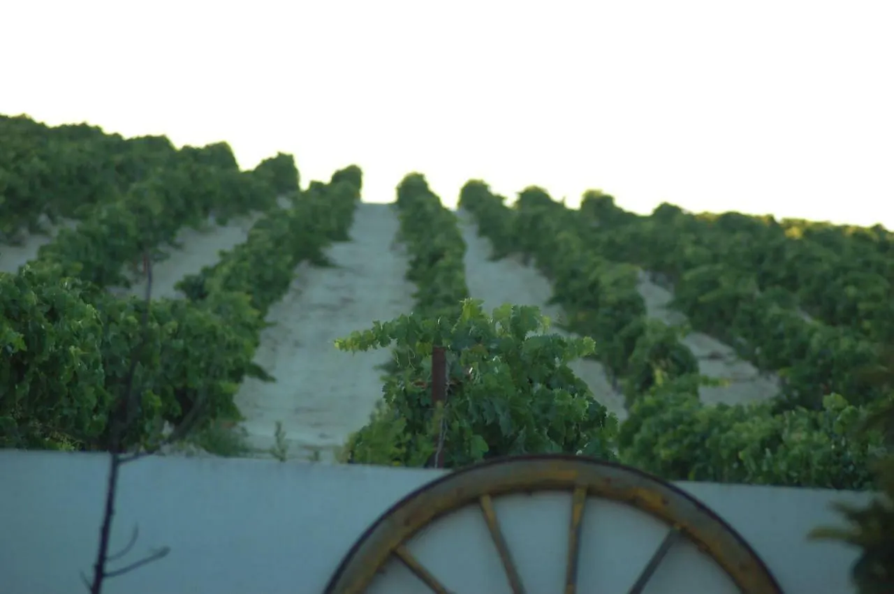 Penzion Jerez Vina Santa Petronila Jerez de la Frontera Venkovský dům